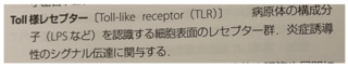 1126-5.PNG