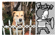 20428.PNG