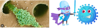 6907.PNG