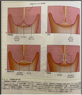 70120-8.PNG