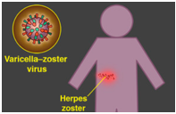 �X�N���[���V���b�g 2025-07-22 182256.png