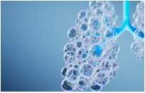 �X�N���[���V���b�g 2025-08-18 203802.png