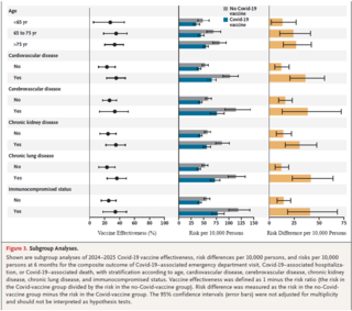 �X�N���[���V���b�g 2025-10-25 143532.png