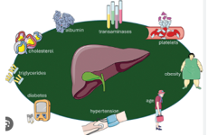 �X�N���[���V���b�g 2025-11-12 182403.png